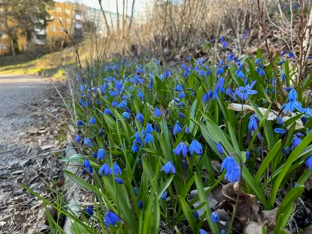 Brf Parken header image